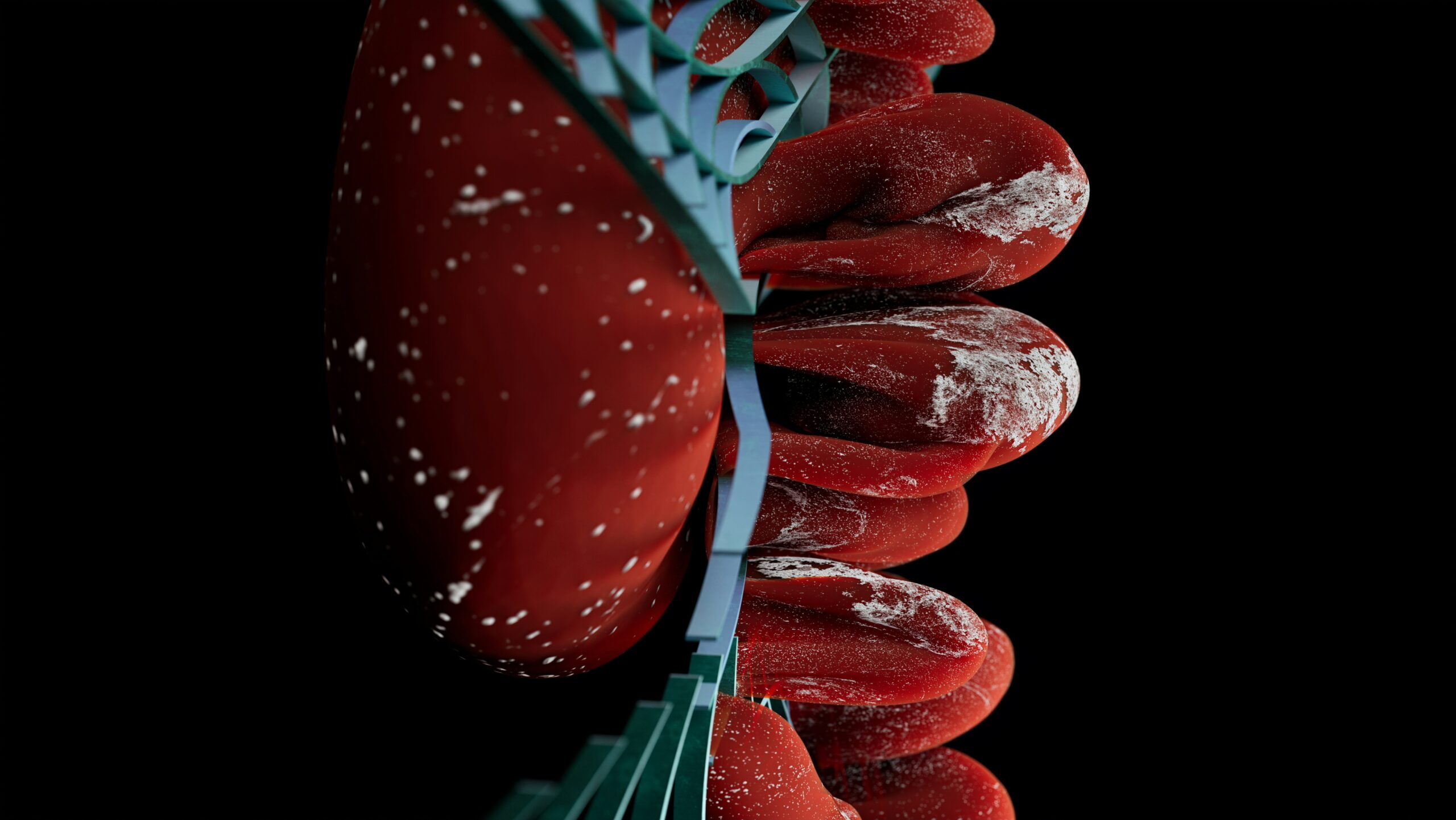 Diagram showing how calories turn into stored fat in human body