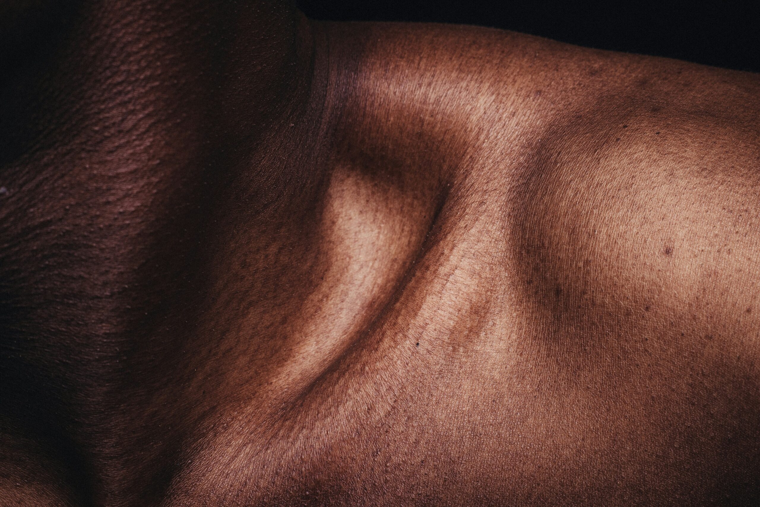 muscle growth supplement